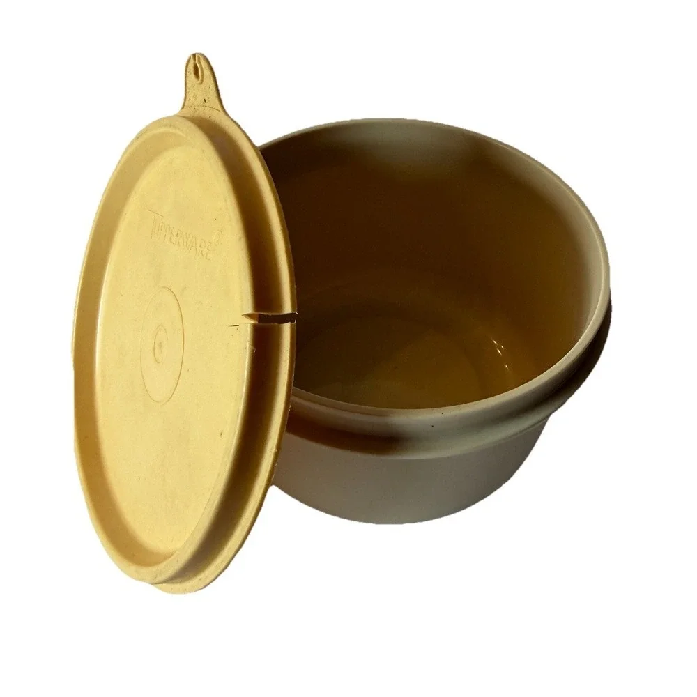Vintage Tupperware Divided Veggie Fruit Dip Serving Tray 1665-2 w/lid, bowl/lid‎